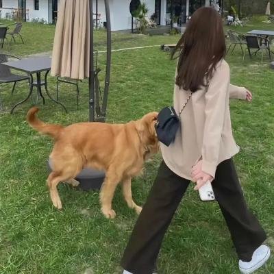 良医第四季